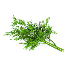 Dill
