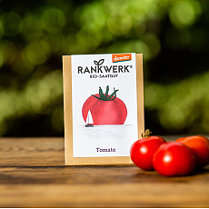Balkon-Tomate 