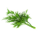 Dill