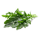 Rucola